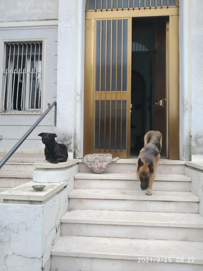 Chez Martha Bed and Breakfast Verona Exterior foto
