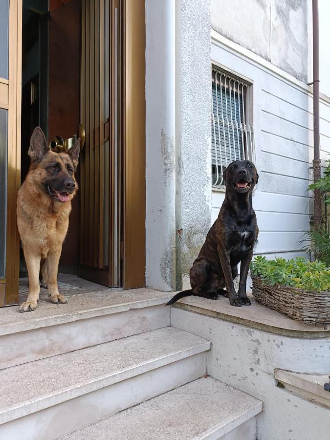 Chez Martha Bed and Breakfast Verona Exterior foto